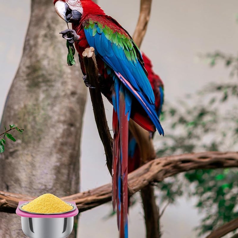 وعاء طعام الببغاء ومجموعة كوب التغذية مع الحامل للطيور الأليفة الصغيرة والكبيرة - Image 2